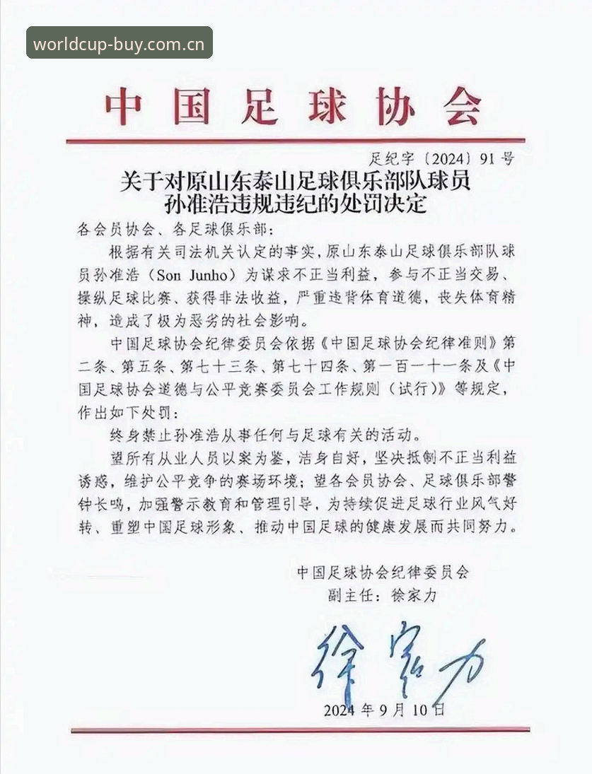中国足协第三批禁足名单深度评测：从17人终身禁赛看足球生态变革